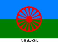 Arlijsko ćhib flag