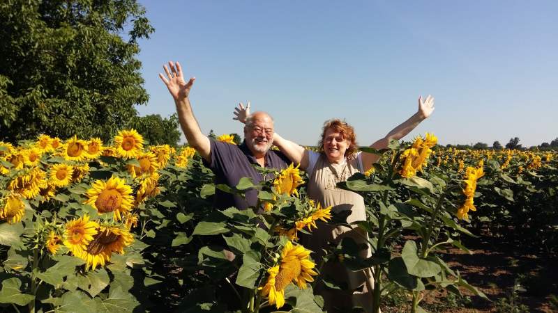 bob and Nancy in sunflower field